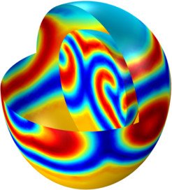 Electrical Signals in a Heart