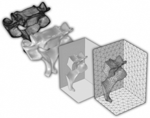 From Surface Mesh to Geometry: STL Import of a Vertebra