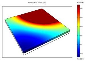 Mass Transport and Electrochemical Reaction in a Fuel Cell Cathode